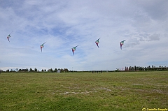 Venice kite festival_0561